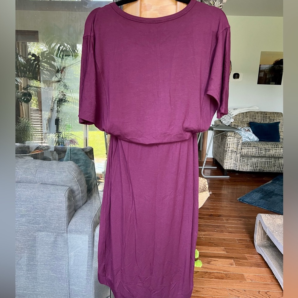 Victoria Secret Dress NWOT